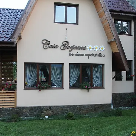 Casa Gorjeana Complex Agroturistic Pensjonat Pestisani